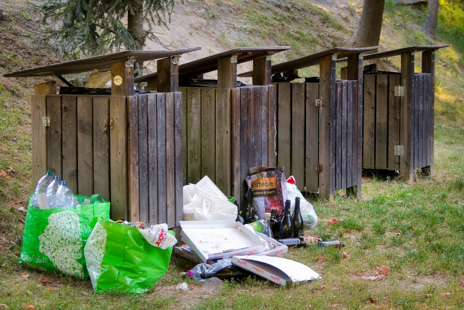 https://rubbishremovaldulwich.com/blog/dulwich-park-bulky-waste-permits-and-collection-options/